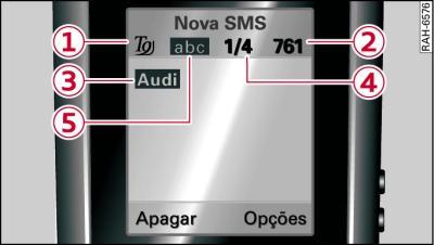 Informações no visor SMS